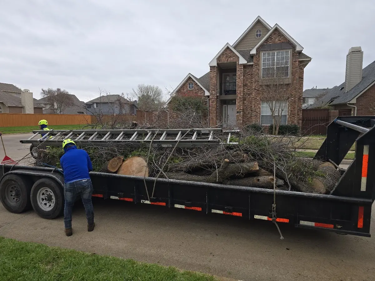Expert Tree Pest Control with proper safety equipment in Vermillion